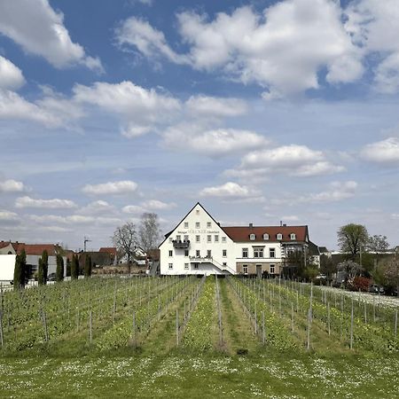 Neustadt an der WeinstraßeWeinzeit13公寓 外观 照片