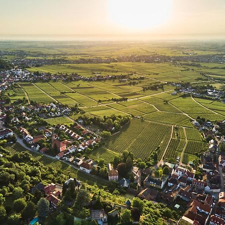 Neustadt an der WeinstraßeWeinzeit13公寓 外观 照片