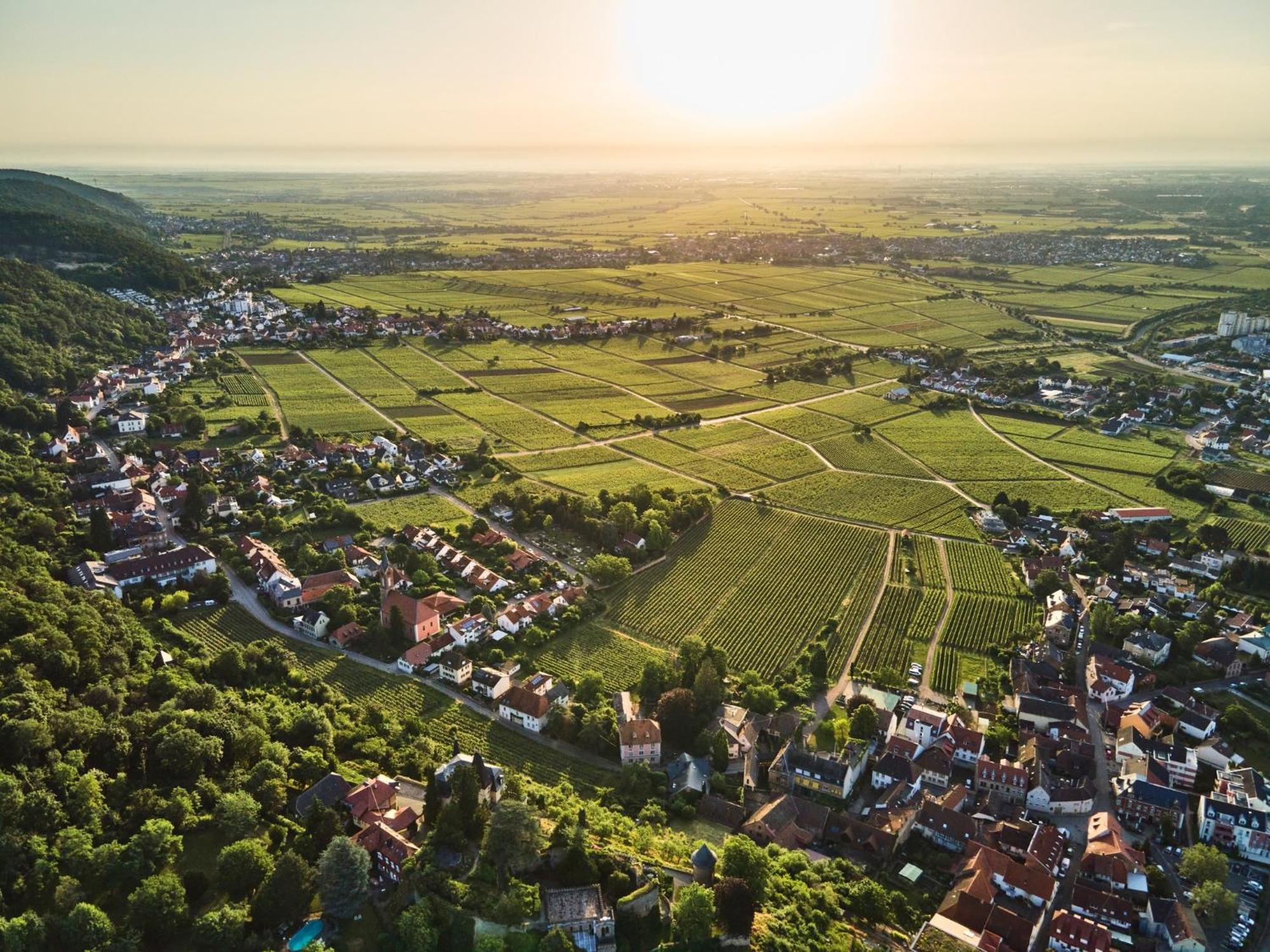 Neustadt an der WeinstraßeWeinzeit13公寓 外观 照片